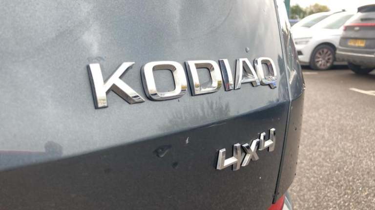 2019 Skoda Kodiaq 2.0 TDI 190 Edition 4x4 5dr DSG [7 Seat] Automatic Estate Diesel Automatic