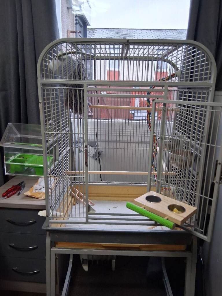 Lare bird cage