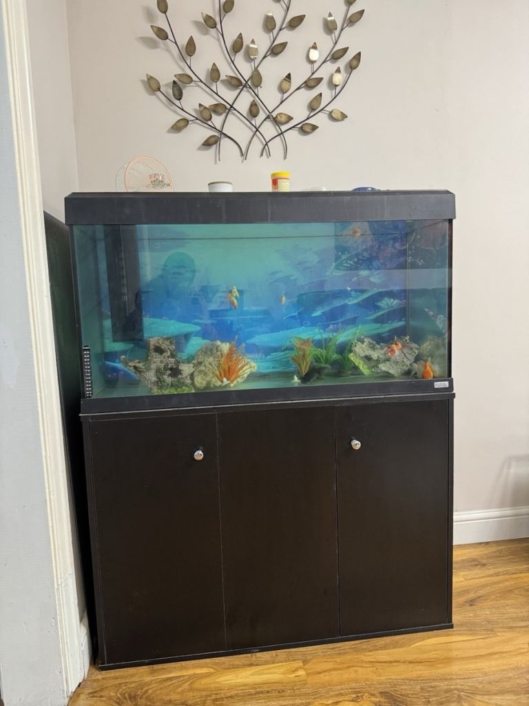 image for Fish tank 240 tank