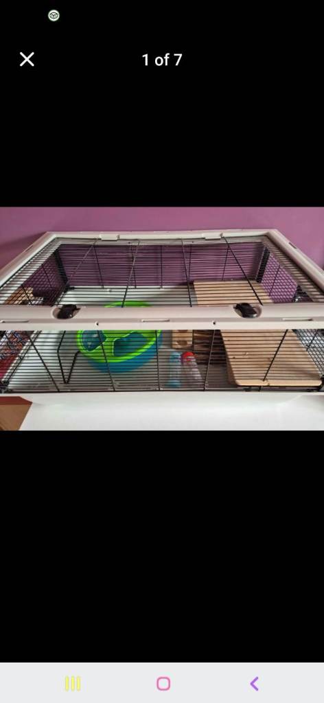 Hamster cage