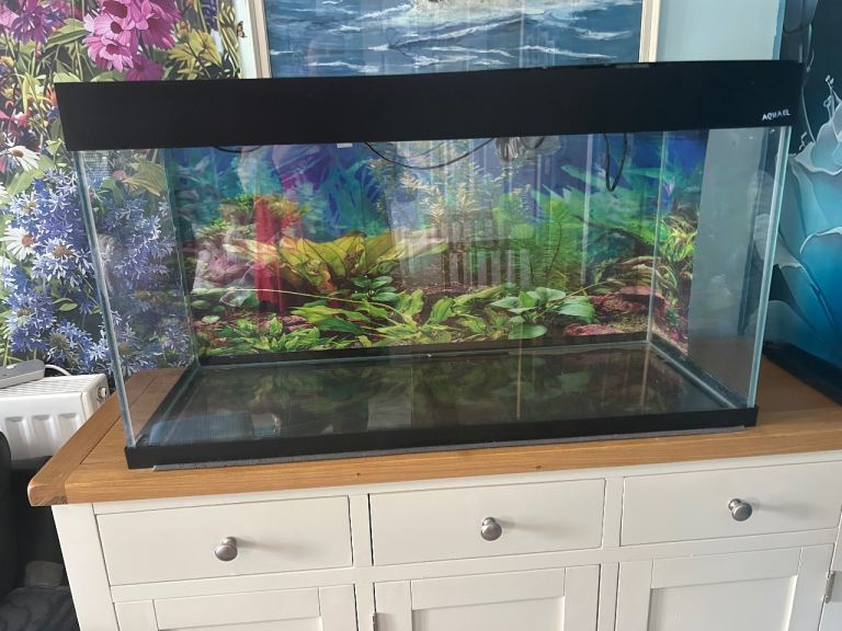 200 Litre API Aquael Fish Tank