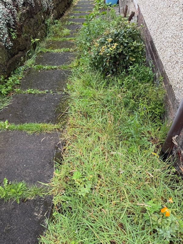 Weeding Service Needed - Kilsyth, North Lanarkshire