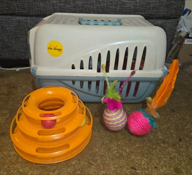 Cat Carrier & Toys Bundle