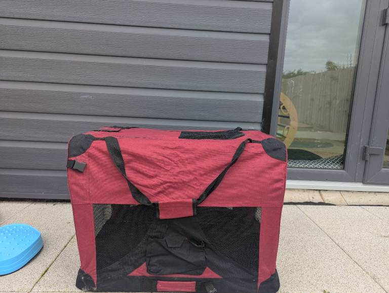 Collapsible dog carrier 