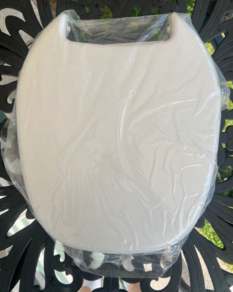 Caravan toilet seat