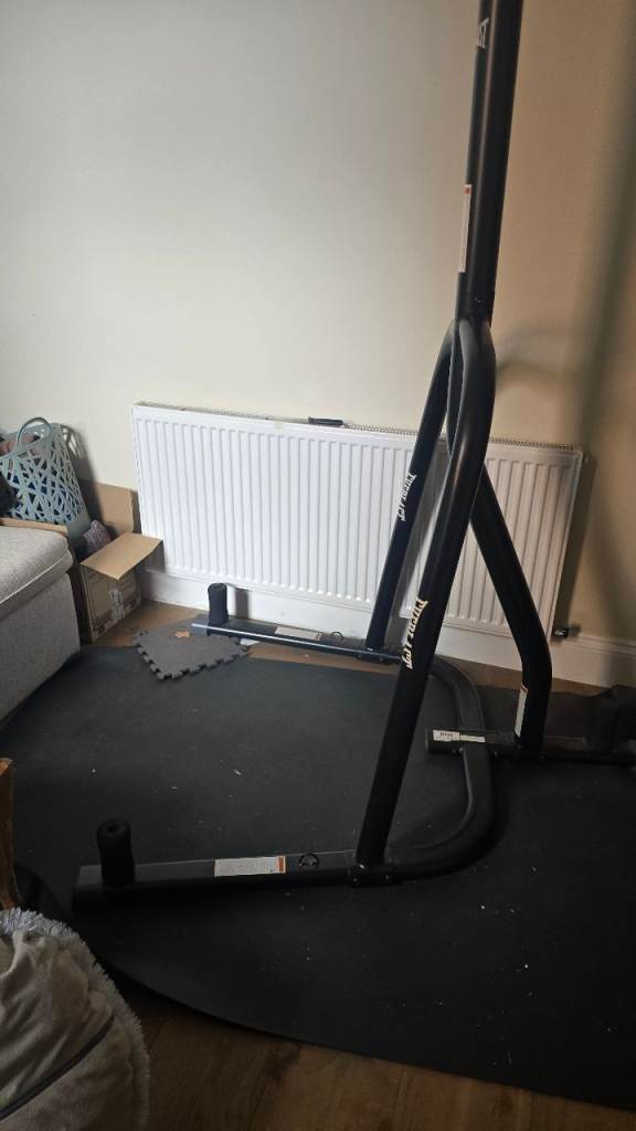 Everlast Punching bag/stand & Other Gloves