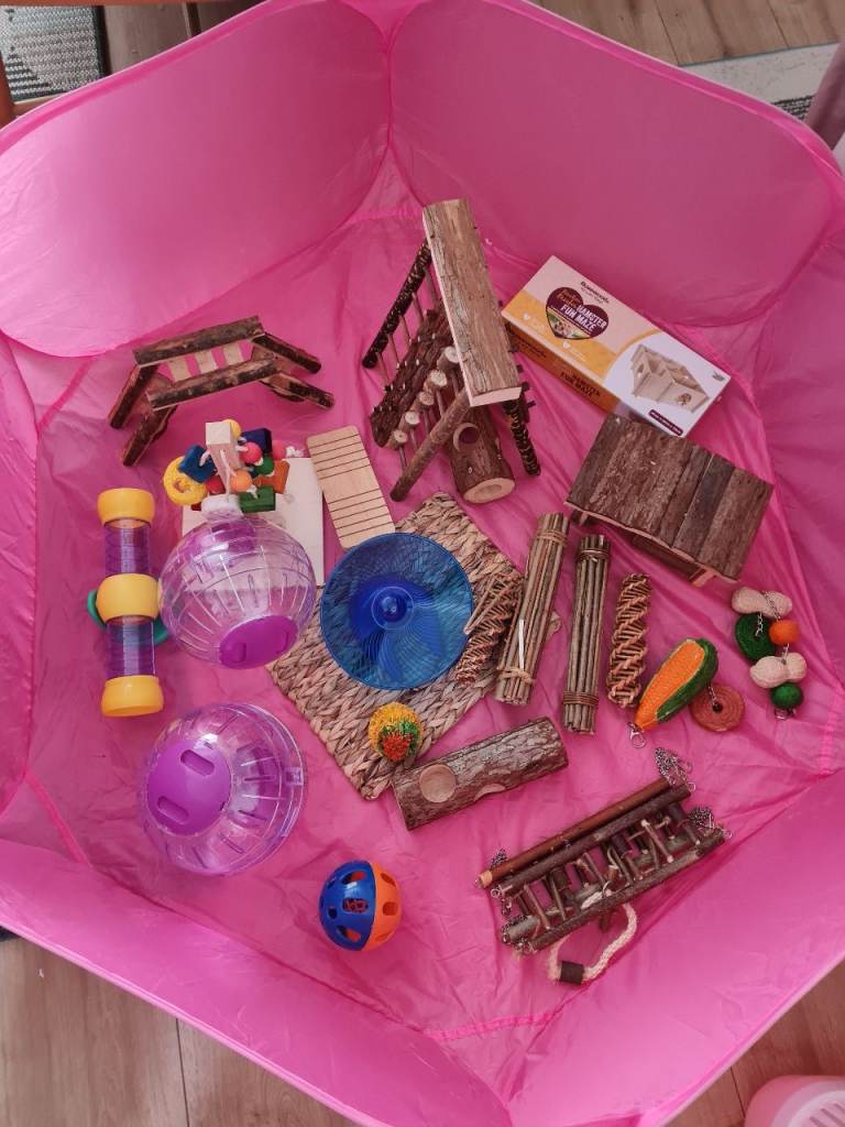 Hamster Playpen, Toys, and Accessories