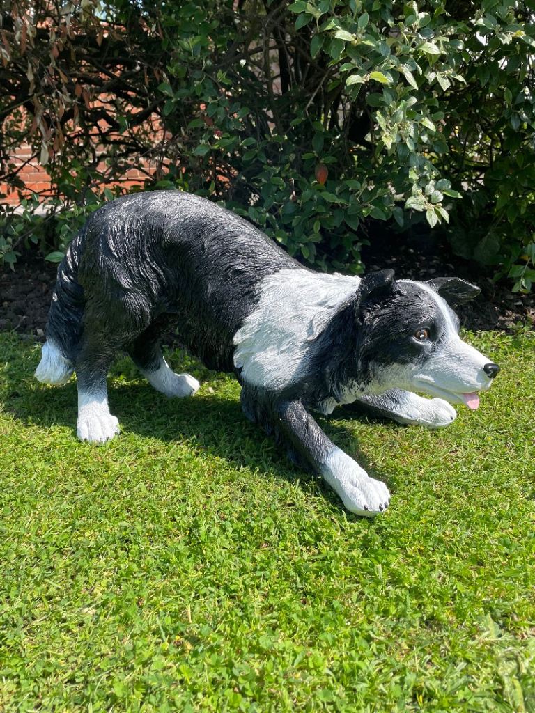 Laying Border Collie Sculpture, Garden Ornament 