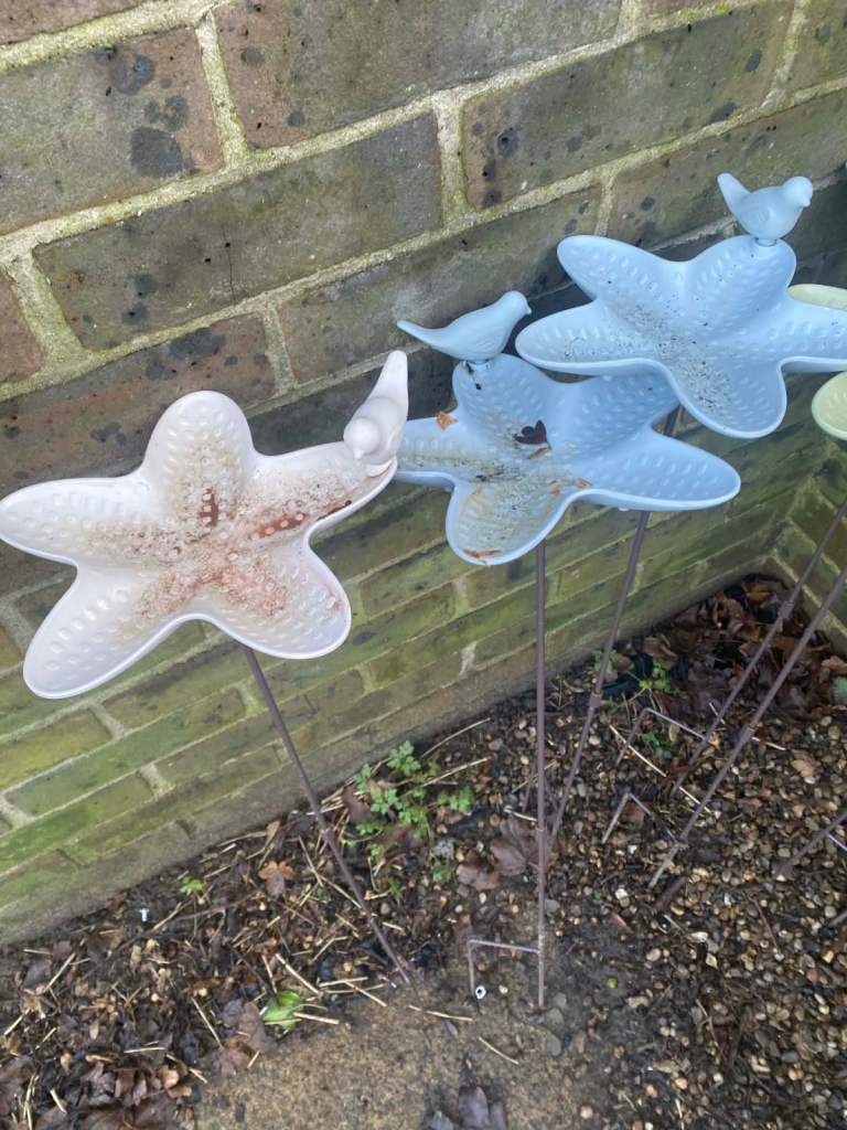 All garden bird baths now fiver each 