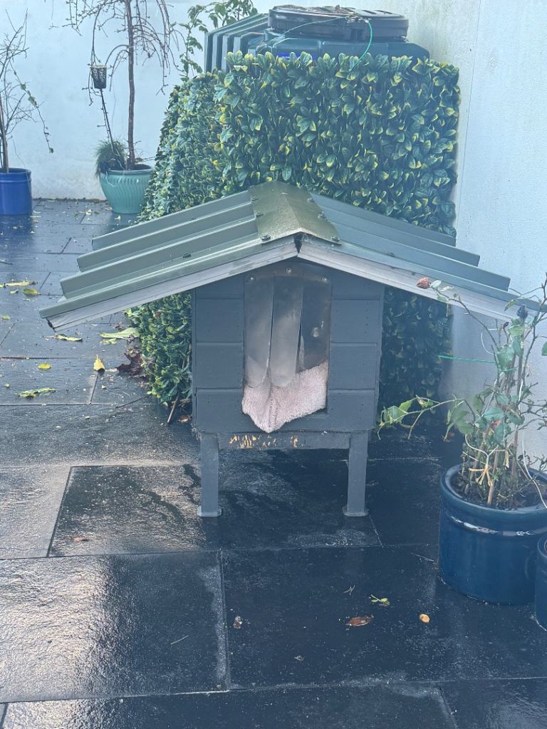 Free to take Dog kennel 