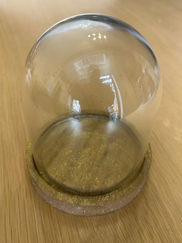 x9 Glass Cloches with Wooden Base - £20