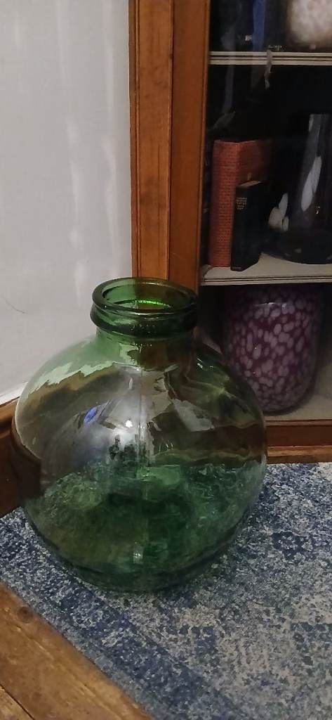 Green Glass Terrarium 