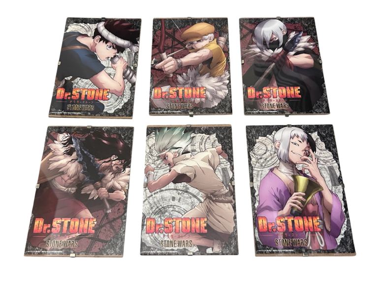 6 A6 Dr Stone Character Cards Stone Wars Framed Wall Art Anime Room Decor Manga 15x10cm