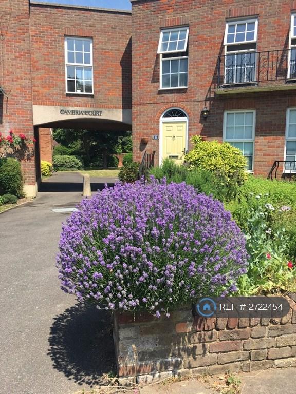 1 bedroom in Cambria Court, Staines, TW18 (#2722454)