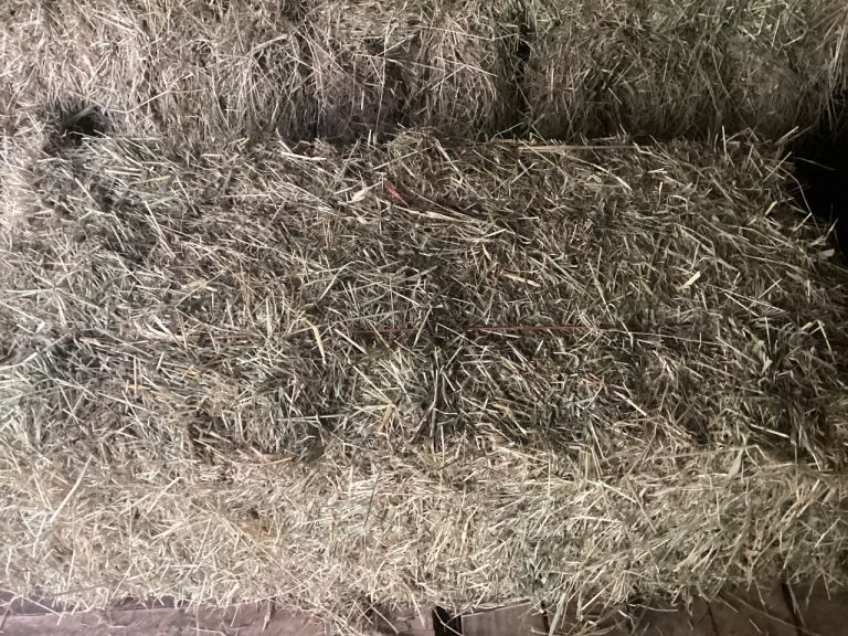 Meadow Hay 
