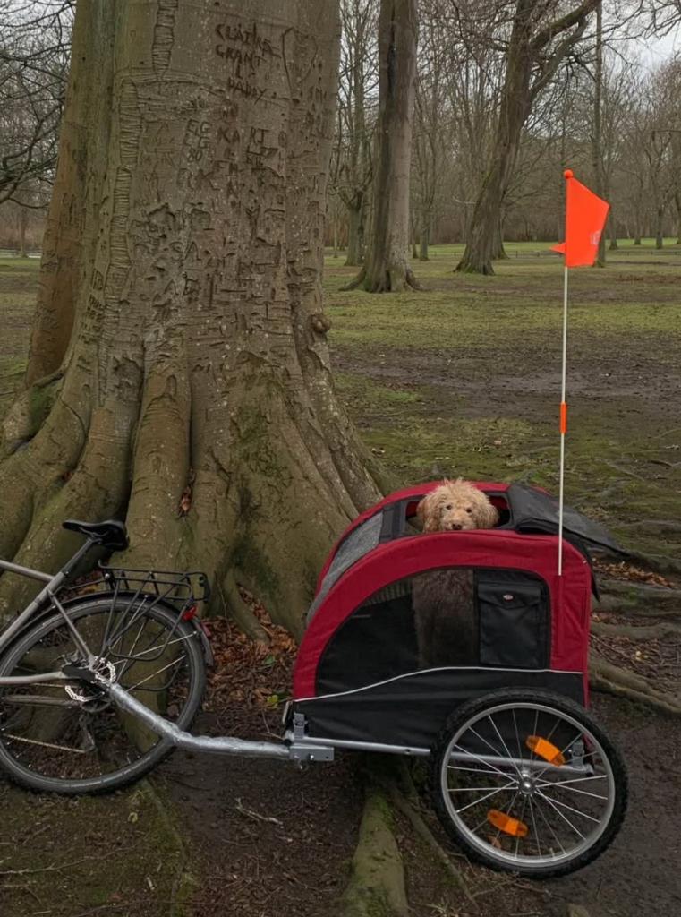 Dog bicycle trailer