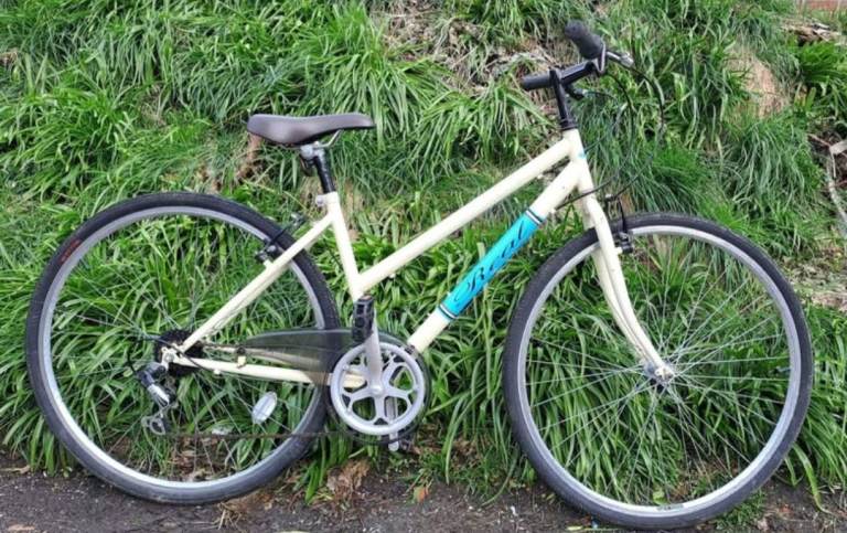 Ladies Real hybrid townbike 