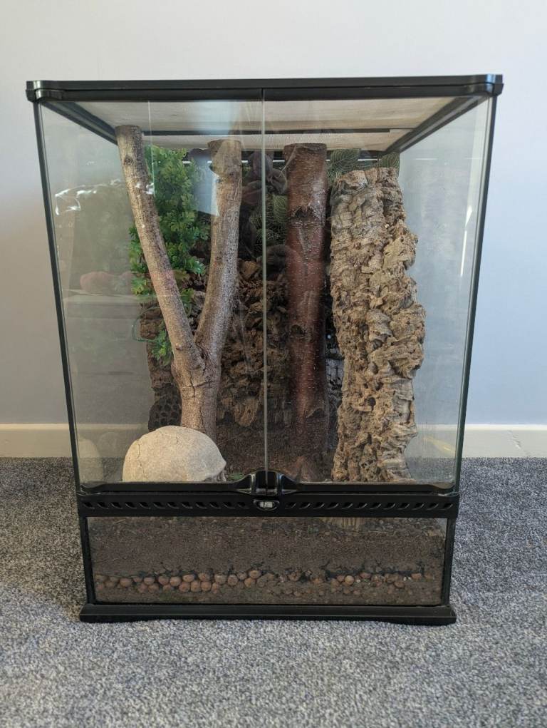 Exo Terra Vivarium, Ready Setup For Your Crested Gecko 