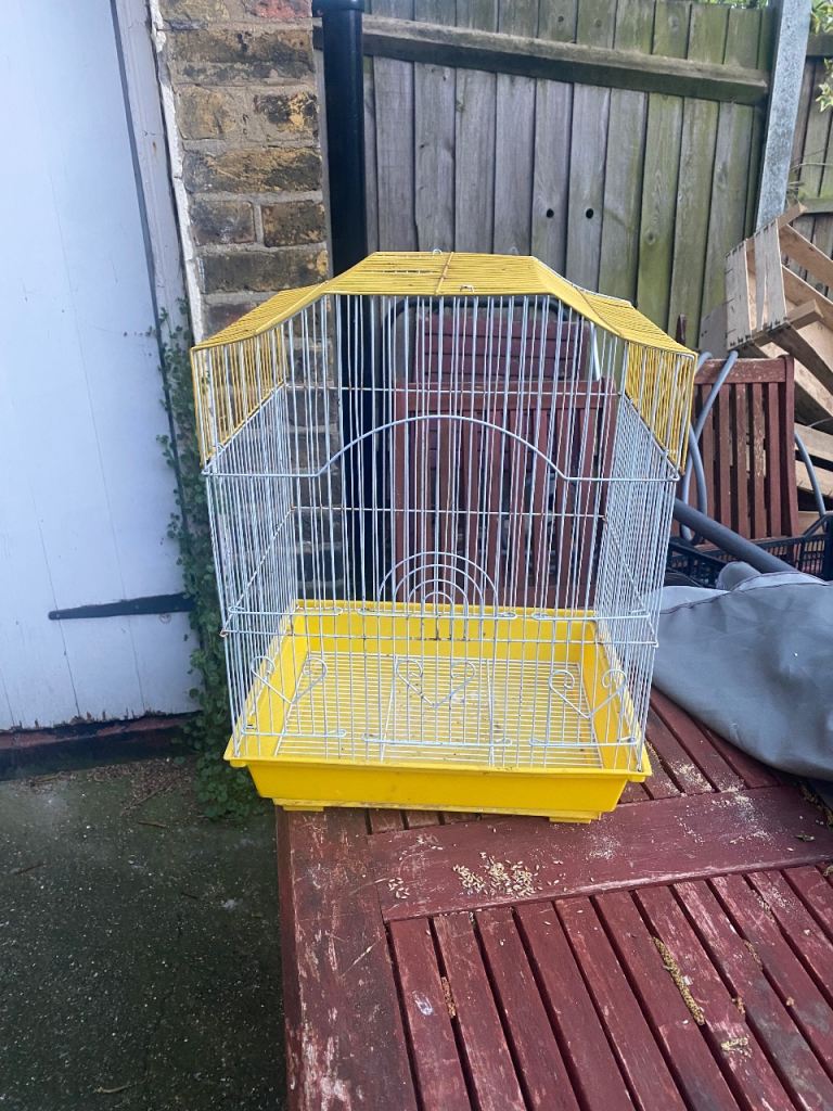 Bird Cage for £5