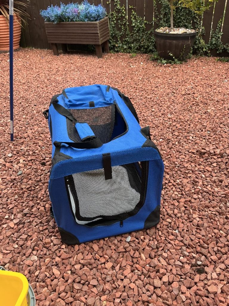 Pet carrier 
