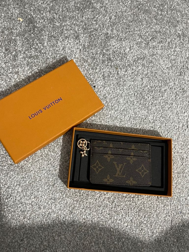Brown Louis Vuitton card holder 
