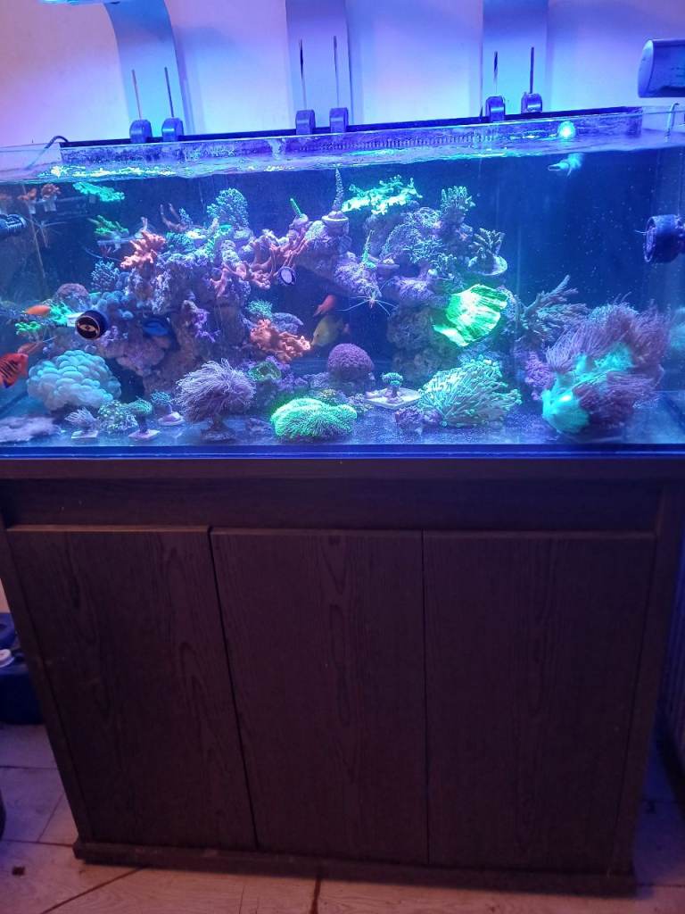 Marine Aquarium Equipment