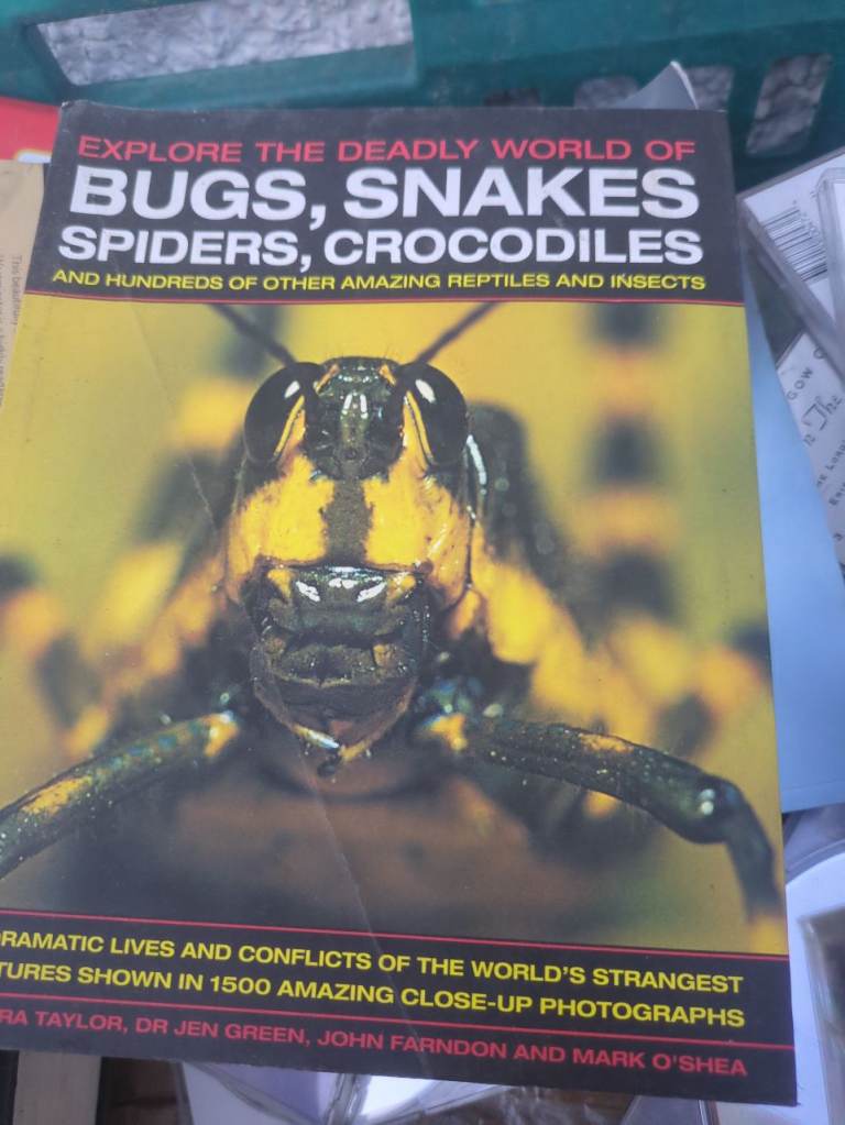 Explore the Deadly World of Bugs, Snakes, Spiders, Crocodiles Book