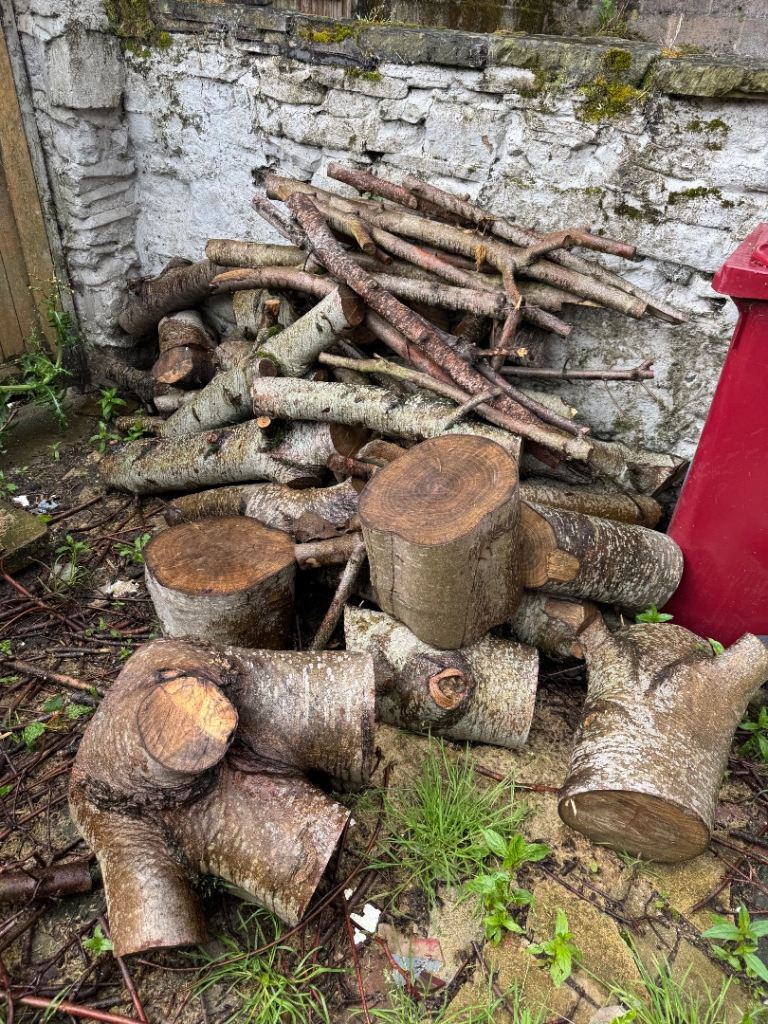 FREE Mixed Logs and Firewood for Collection