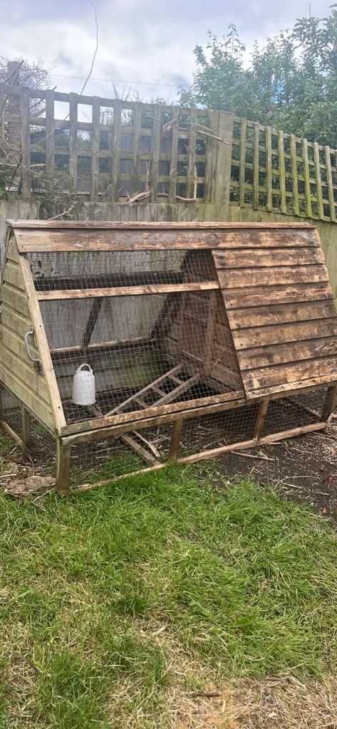 Free Chicken coop 