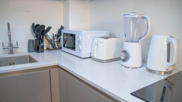 Electric kettles, microwave, toaster, blender 