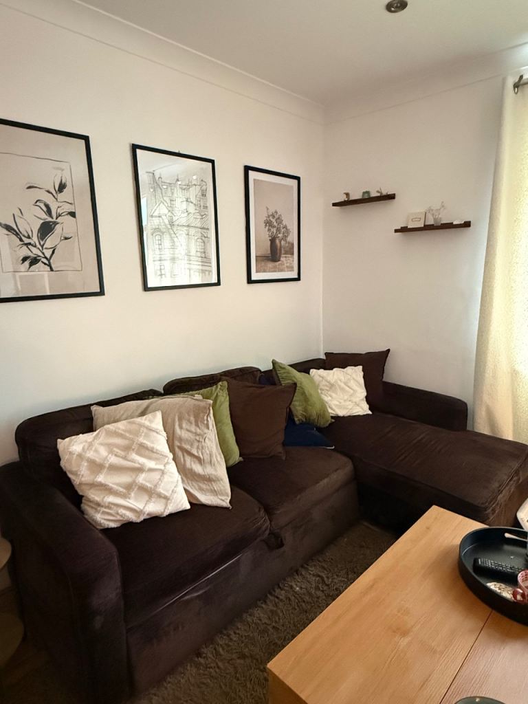 Comfy Brown L-Shape Sofa Bed with Storage