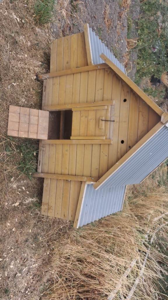 Chicken coop 