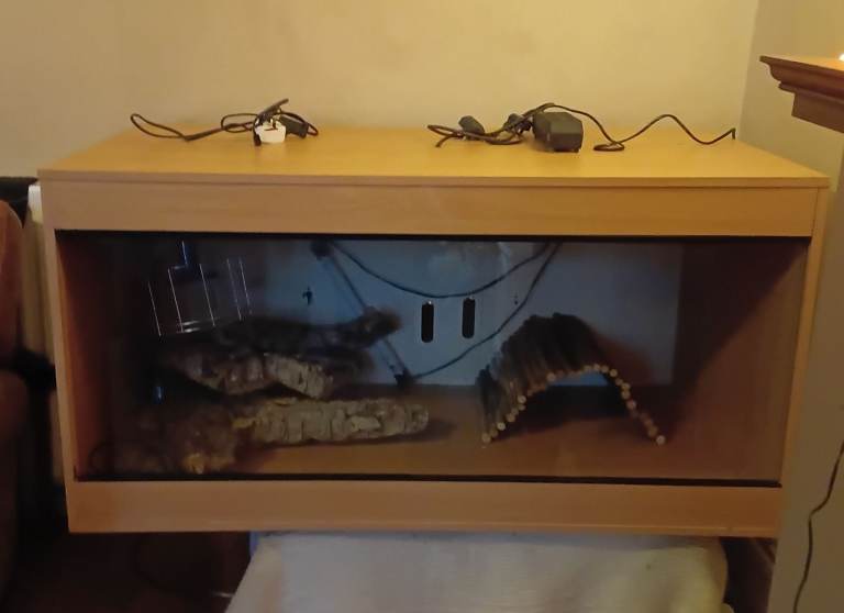 4ft Vivarium and accessories