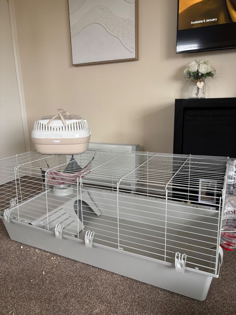 Guinea pig cage and accessories 