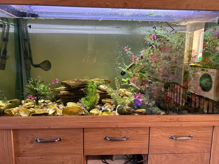 Aqua one oak style 230 ltr 