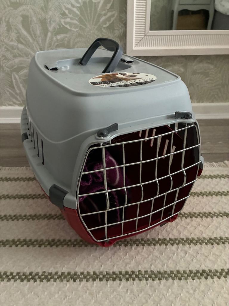 Pet carrier x2