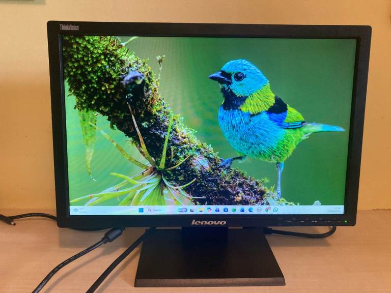 Lenovo LT1953WA 03X7973 ThinkVision LCD TFT LED 19" Widescreen Monitor VGA DVI