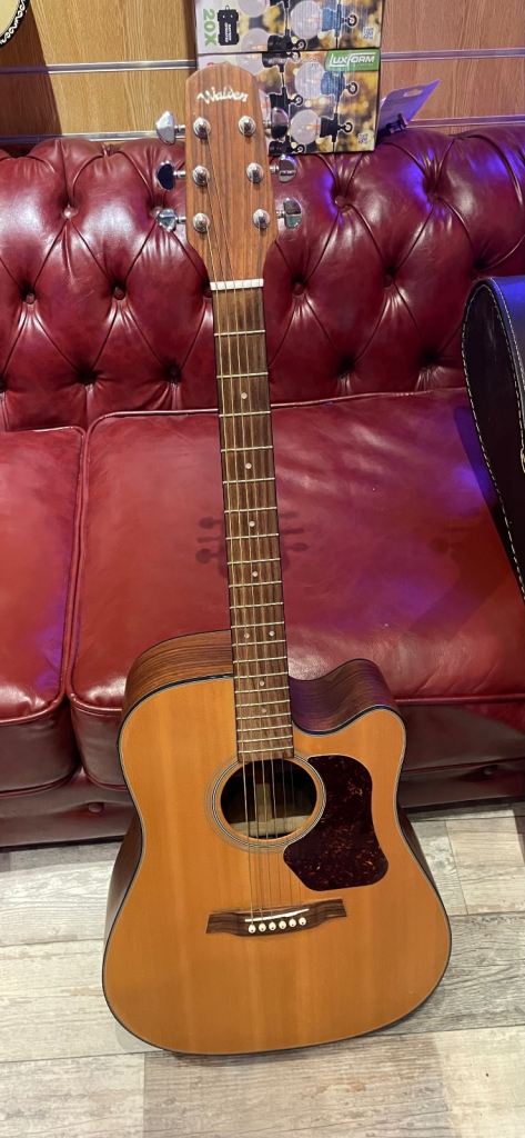 image for Walden acoustic. 