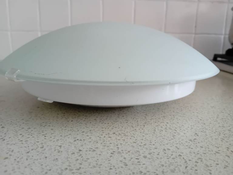 Ceiling Light Fitting with Frosted Glass Shade – Good Condition