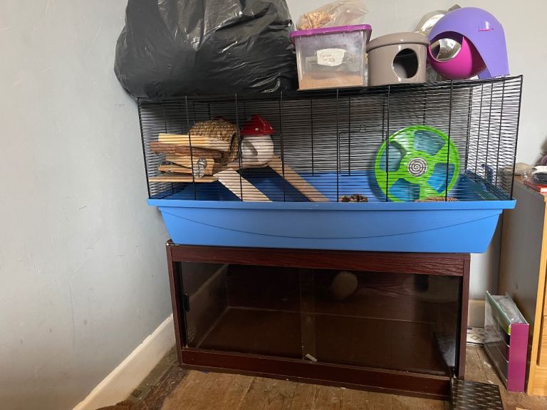 Hamster cage setup