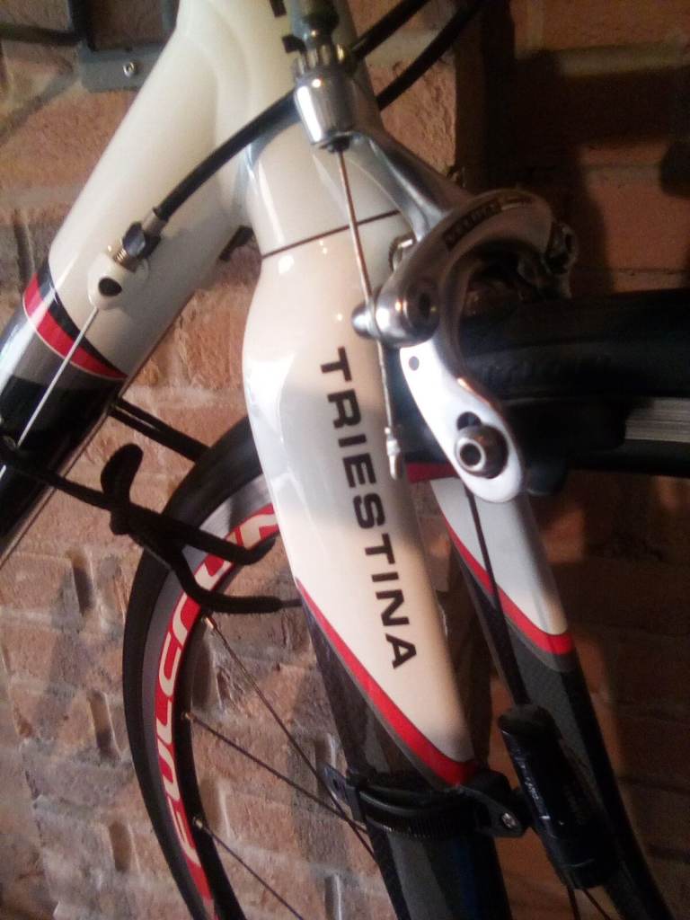 Willier road bike