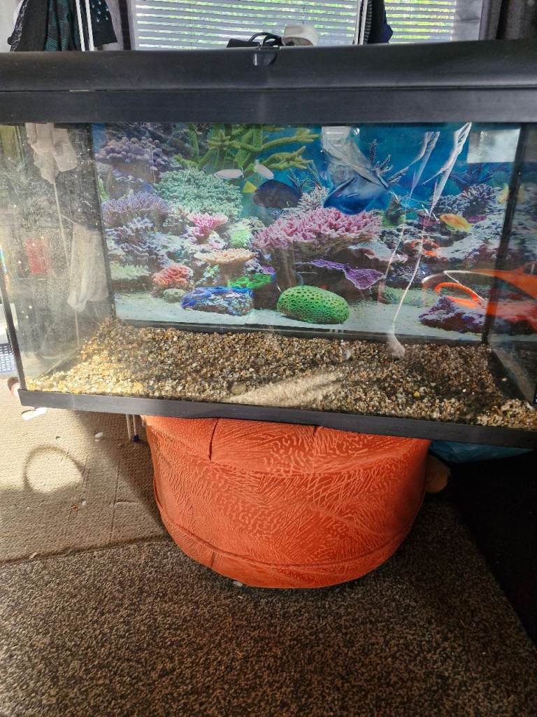 Interpet fish tank