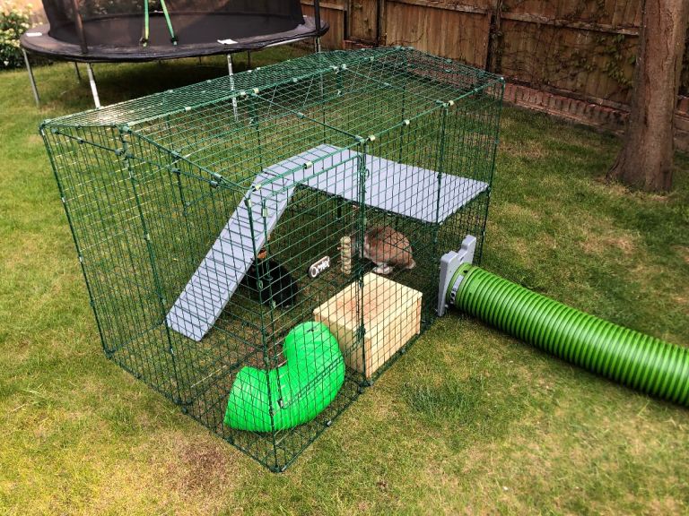 Rabbit run and ramp, omelet compatible. 
