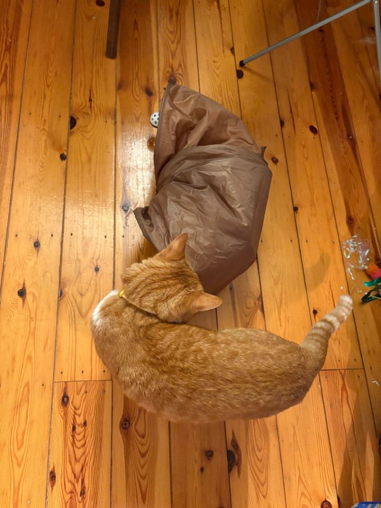 Pet tunnel with ball and bell