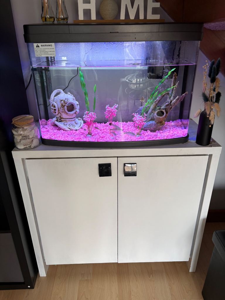 Fish Tank, Fish (x6), unit & accessories 