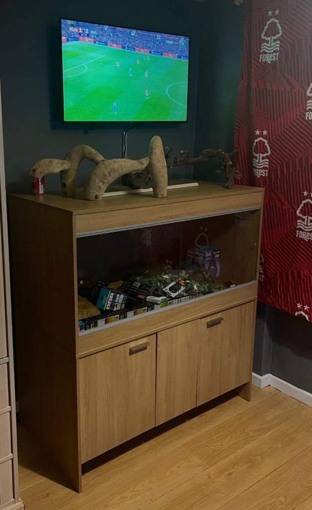 4x2x2 reptile vivarium and cupboard unit plus accessories 