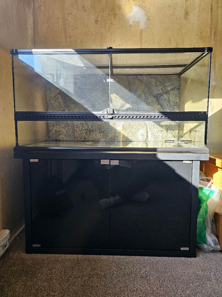 Lizard vivarium 