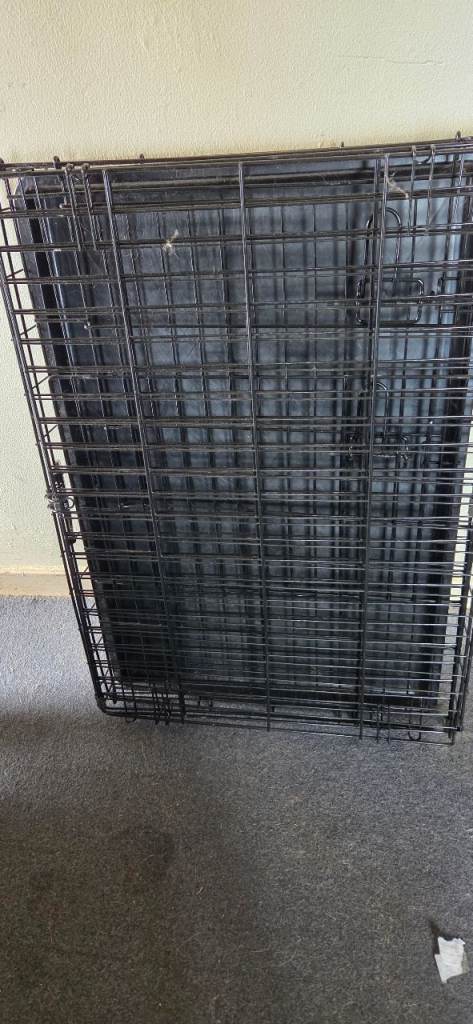 Dog cage used briefly for small staffy
