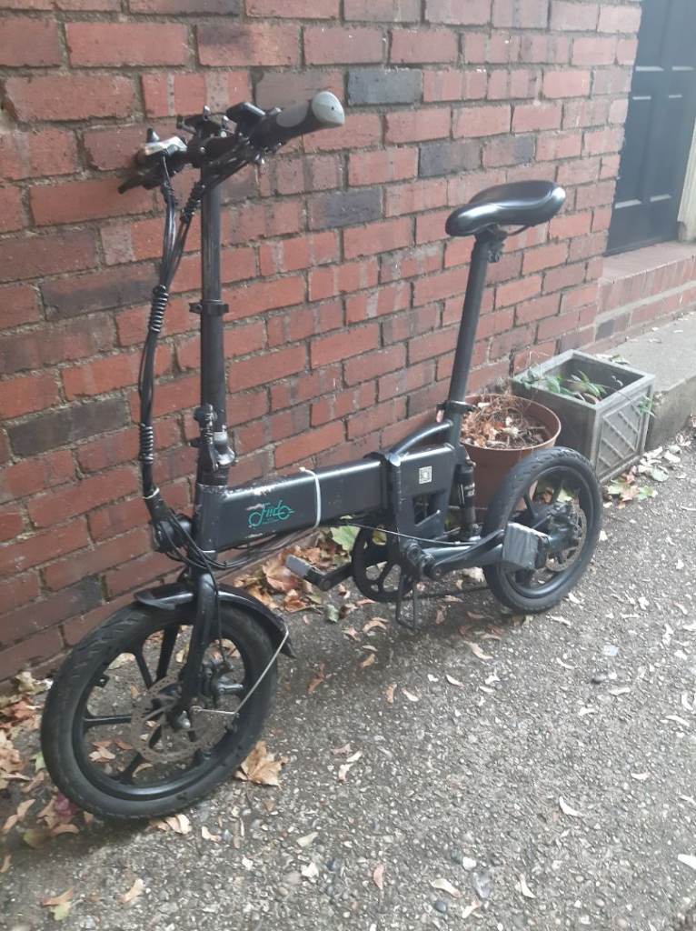 Fiido D2s Folding Electric Bike
