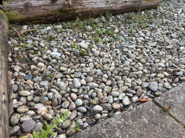 FREE Mixed Garden Pebbles for Landscaping – Various Sizes